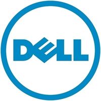 Dell Pro Support  4h  Mc  5y